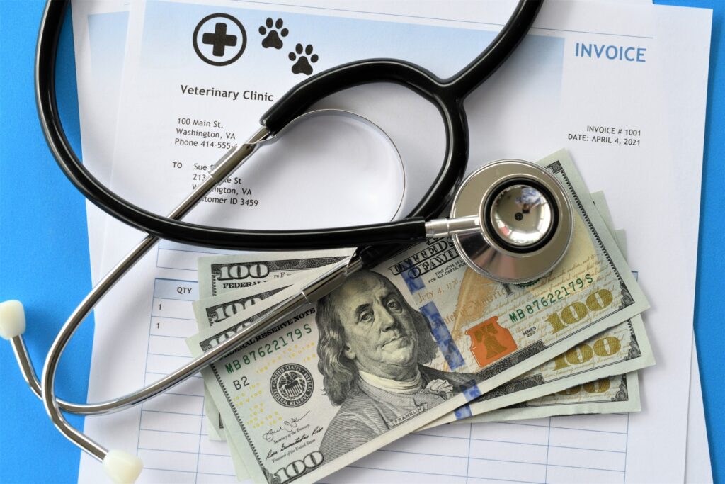 medical-care-cost-of-pets-cats-dogs-house-pet-2022-06-09-15-32-58-utc-2048x1365